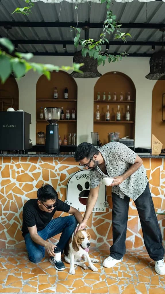 Beagle's (Cafe & Bistro) (Jodhpur)