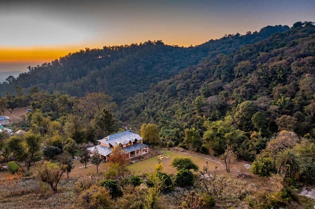 Tea Gardens Dharamshala Narghota