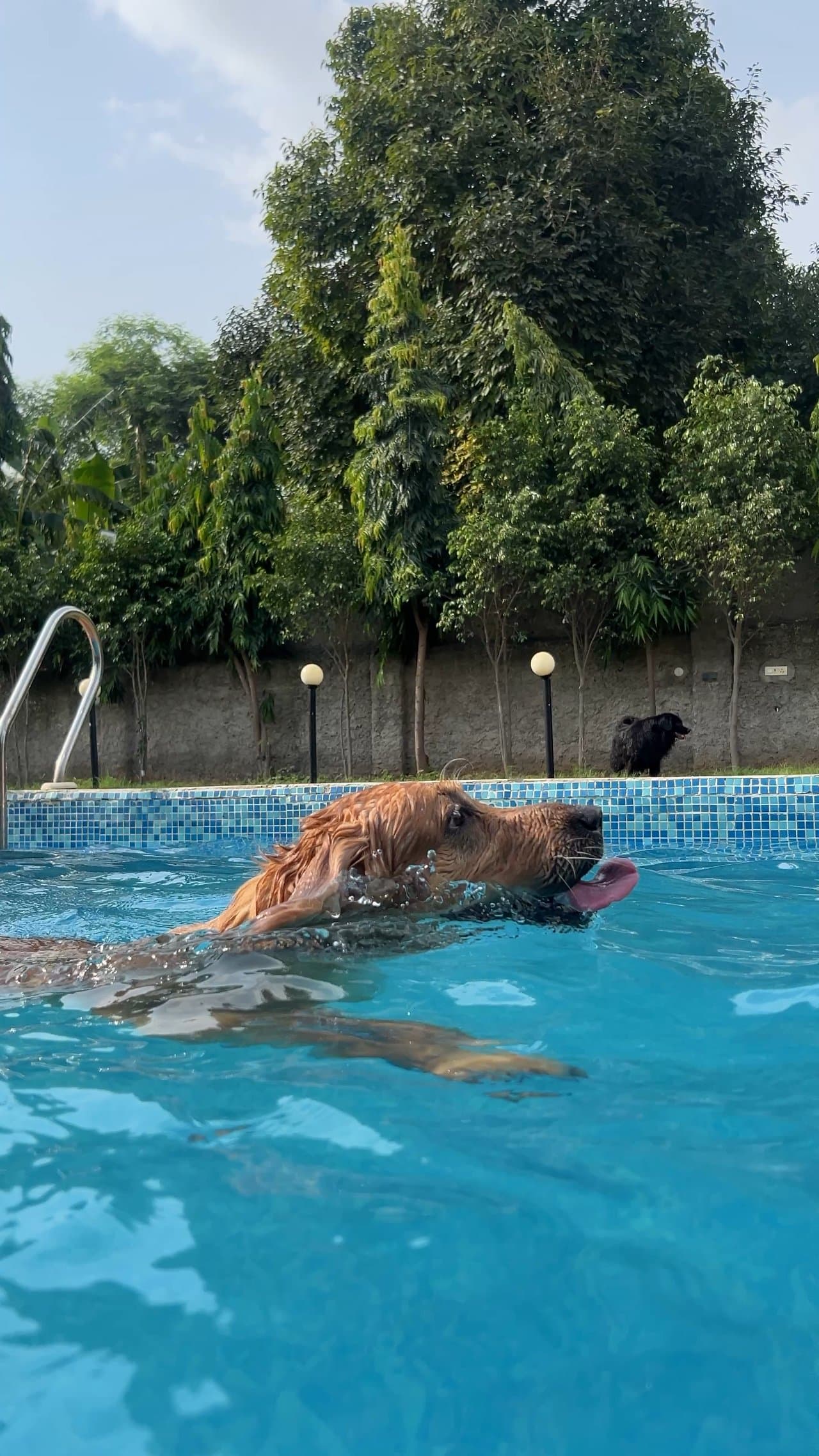 Sora Eco Farm by Nivaas (Gurugram)