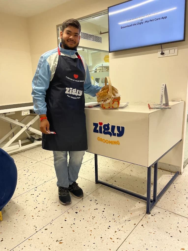 Zigly - Pet Hospital, Pet Grooming & Pet Products | AIPL, Sector-66, Gurgaon (Gurugram)