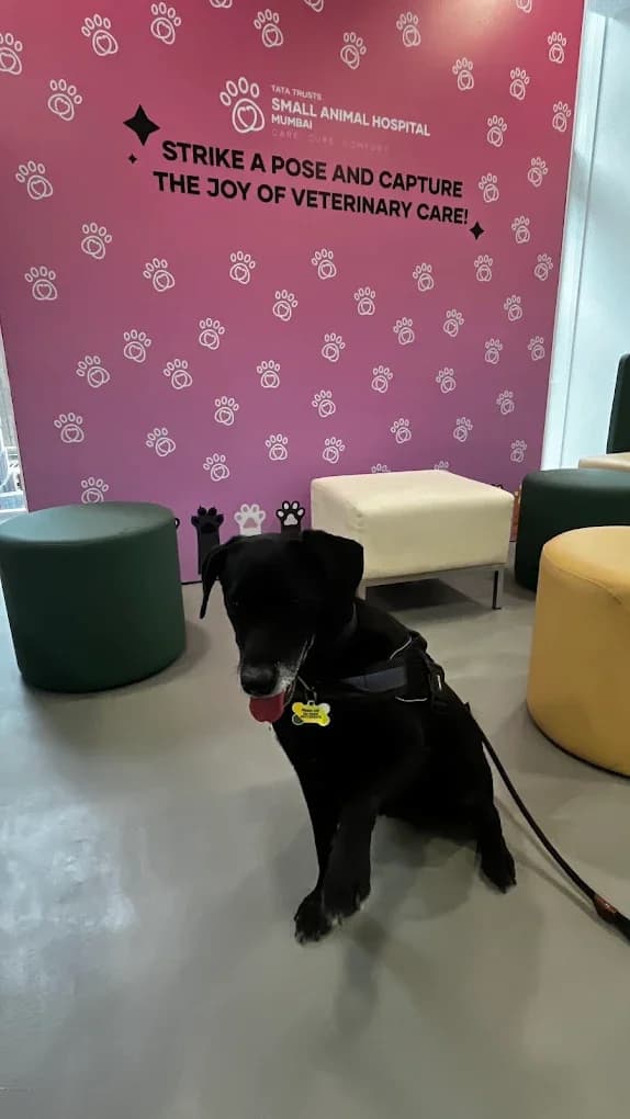 Tata Trusts Small Animal Hospital, Mumbai (Mumbai)