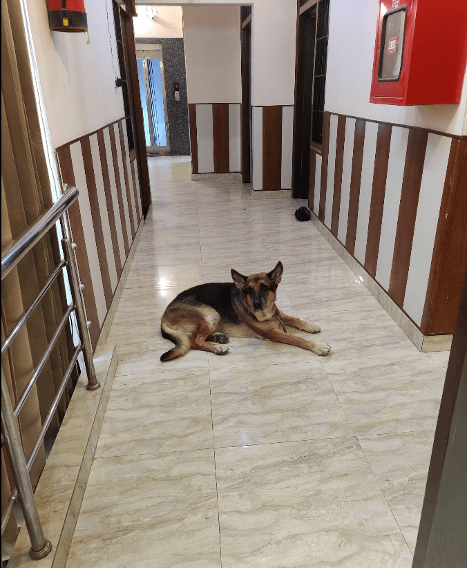 AP Palace Hotel, Ayodhya