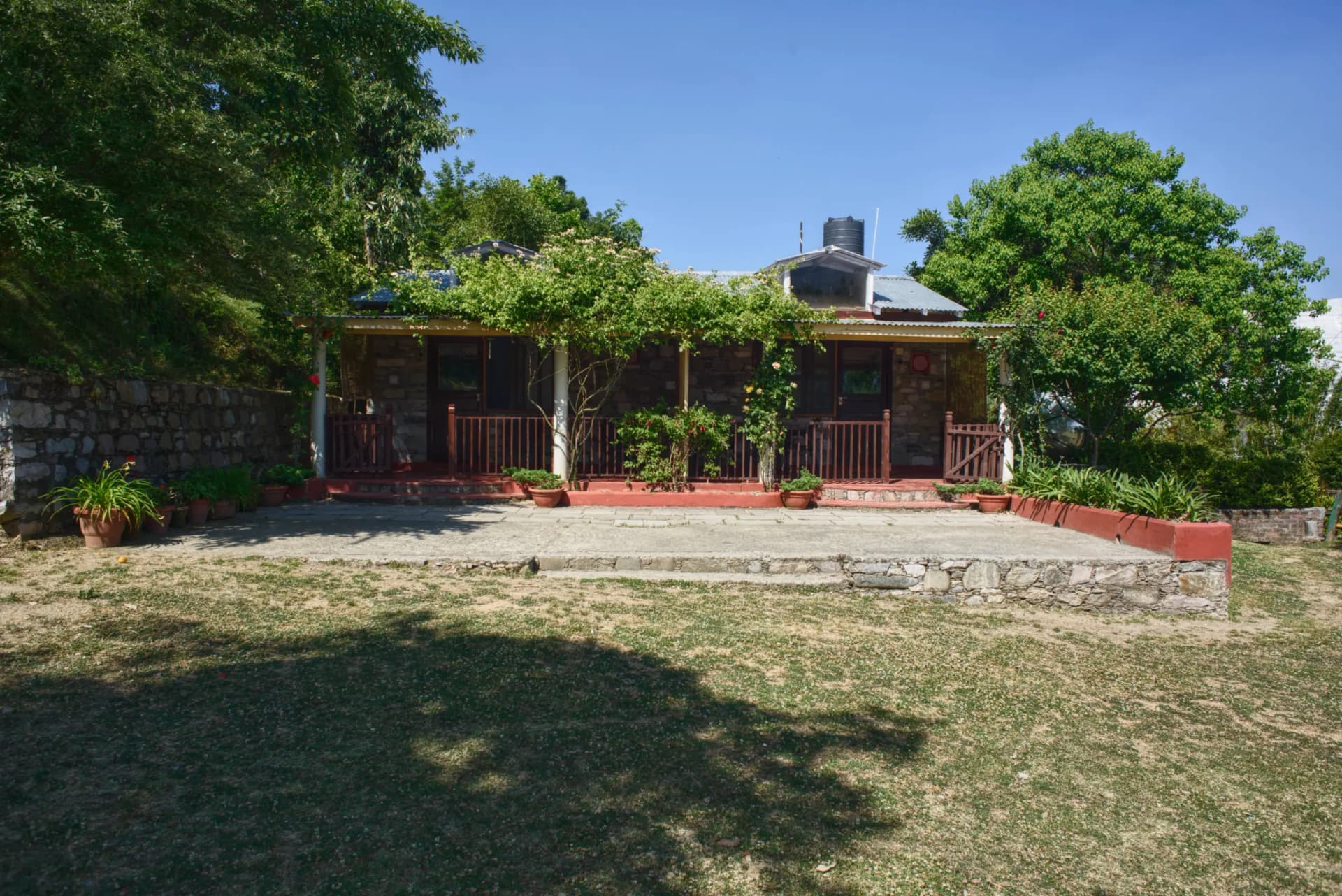 Pine trails jungle camp kasauli