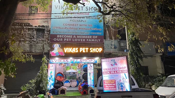 Vikas Pet Shop and Grooming Salon (New Delhi)