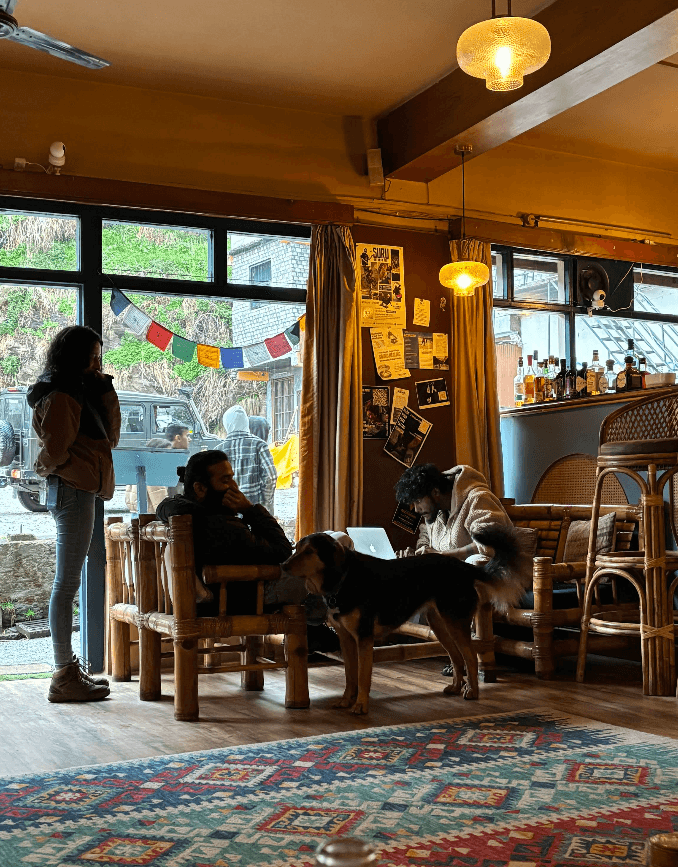 Drifters Cafe, Bar & Inn by The Hidden Tribe (Manali)