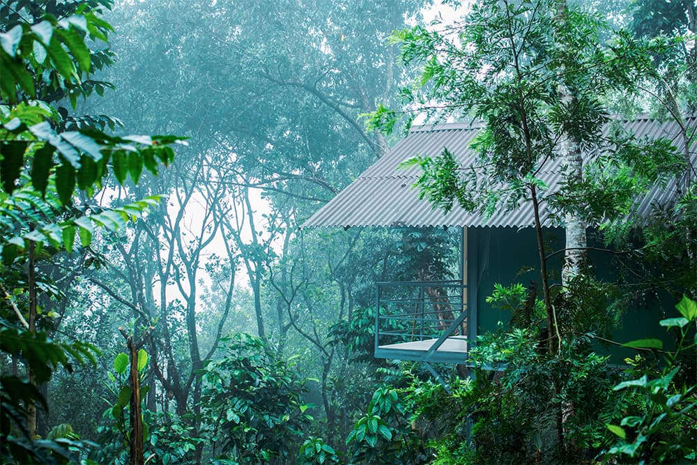 Edens Resort Munnar (Muthuvaankudi)