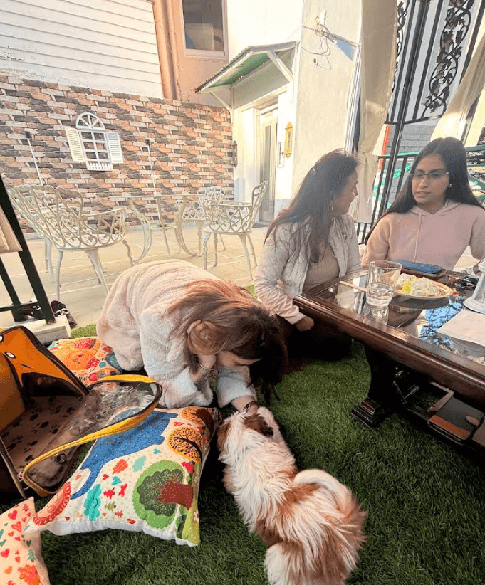 Shyamala Pet Cafe & Bakery (Shimla)