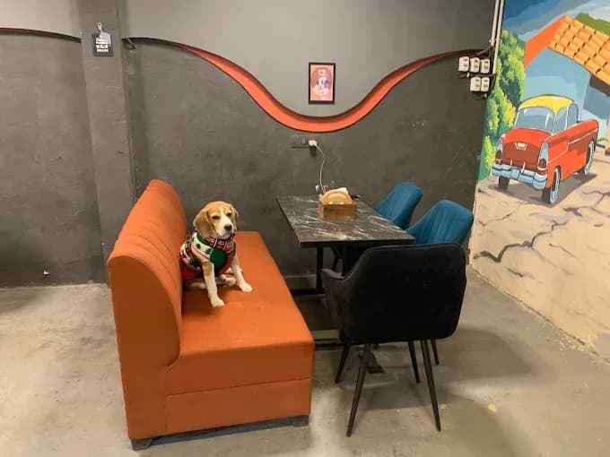 Alpha the Cafe (Noida)