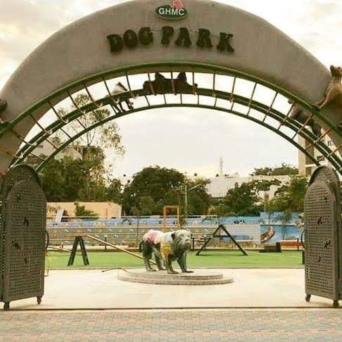 GHMC Dog Park, Gachibowli