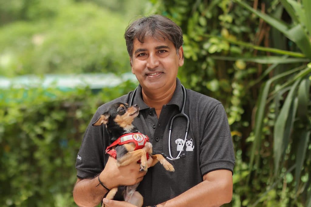 DCC Animal Hospital Grooming & Boarding