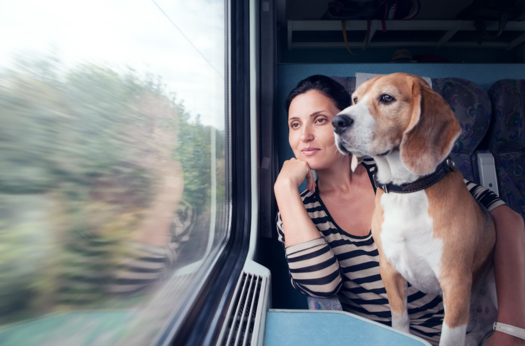 traveling with pets