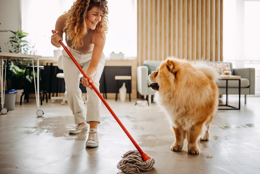 vaccine clinic for pets