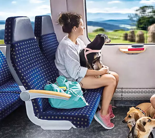 Train Travel with Pets in India