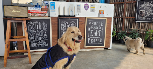 Best pet-friendly cafes