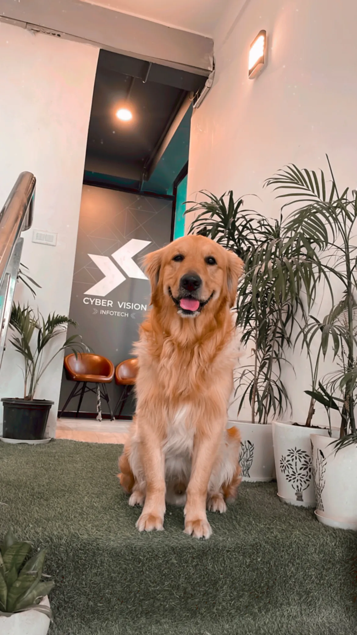 Work vibes, but make it pawsome! 🐶 Work vibes, but make it pawsome! 🐶