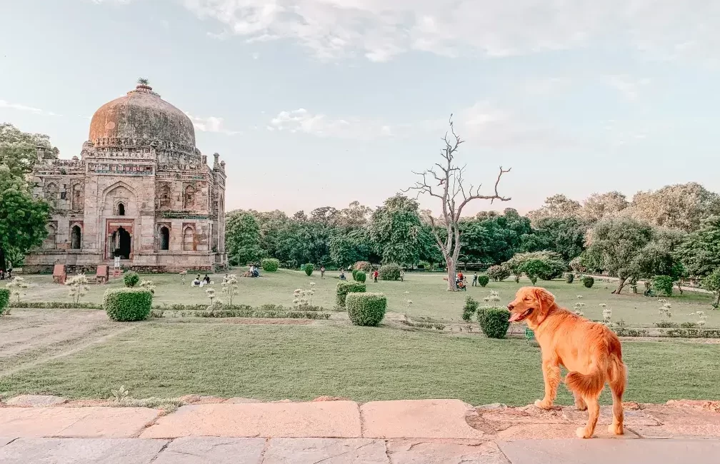 pet friendly parks in delhi