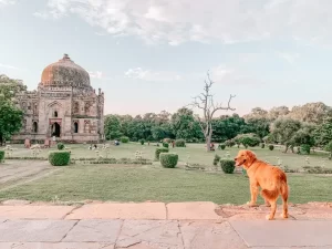 pet friendly parks in delhi