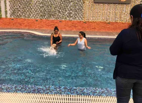 jeffurry-s-the-pet-resort-mundka-delhi-pet-shops-z9viodqv6f