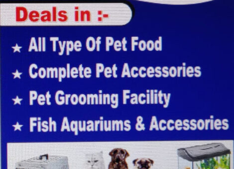 kavya-pet-shop-kingsway-camp-delhi-dog-food-wholesalers-lwpfrko4ln