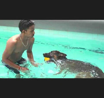 paw-daddy-najafgarh-delhi-dog-creche-6r5w5dk6hr-250