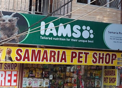 samaria-dog-market-madangir-delhi-pet-food-dealers-1uv9apd51z