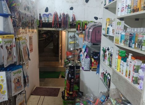 scoopy-scrub-neeti-bagh-south-extension-2-delhi-dog-parlours-t0i0lw0h05-1
