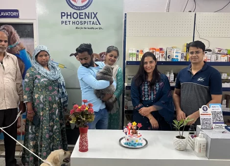 006C1A4F91CFA6CA64D1155F46_1699164858574