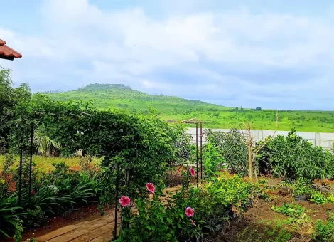 0c3a9e37-4e60-4f7f-86aa-bed1d2fb9ecf