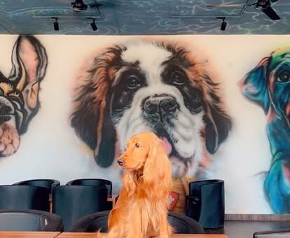 120301702_194859938674663_7442011984264623902_n