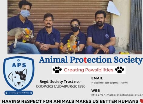 273748271_4812419232183133_1201315740477650658_n