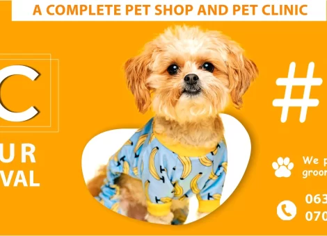 277171784_1390137914771761_2150530650259376415_n