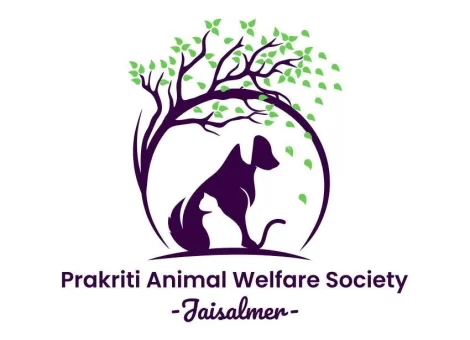 343668697_797426728398100_608759567464419633_n