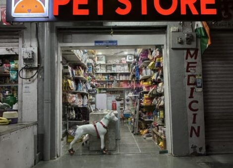 366935797_707756541372421_681045847692661810_n