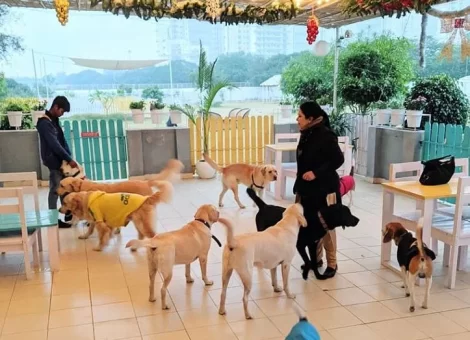 5e54bda78e01dd41f769864c_1582611879390