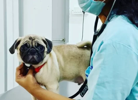 6F959A820ADE717522605CAEC2_1659510387890