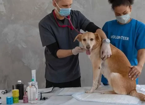 r-oo-1vo-1tia-oceeo8wtnar6d0mcr7h2e1b3e-y8t